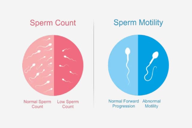 Personalized Diet Plans